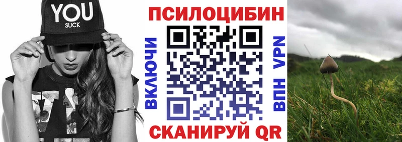 наркотики  Иланский  Галлюциногенные грибы Magic Shrooms 